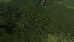 ScreenShot3