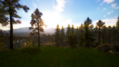 Green Scenery