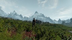 ScreenShot1785.jpg
