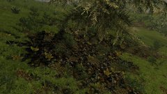 ScreenShot1790.jpg