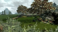 ScreenShot2647.jpg