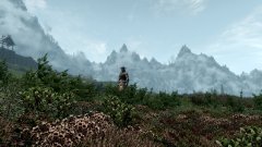 ScreenShot2764