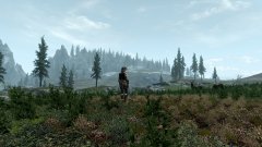 ScreenShot2765.jpg