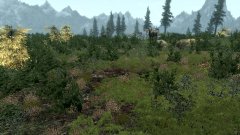 ScreenShot2767.jpg
