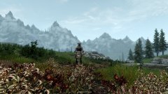 ScreenShot2770.jpg