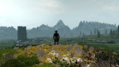 ScreenShot2780.jpg