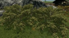 ScreenShot2228.jpg