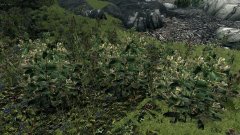 ScreenShot2300