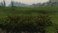 ScreenShot2326.jpg