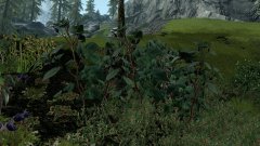 ScreenShot2416.jpg