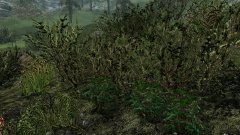 ScreenShot2421.jpg