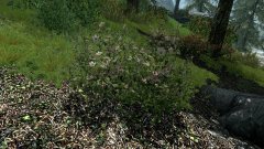 ScreenShot2441.jpg