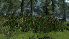 ScreenShot2443.jpg