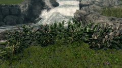 ScreenShot2446.jpg