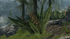 ScreenShot2451.jpg