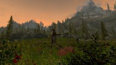 ScreenShot2881.jpg