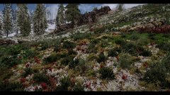 ScreenShot3404.jpg