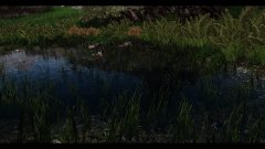 ScreenShot3412.jpg