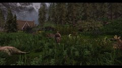 ScreenShot3420.jpg