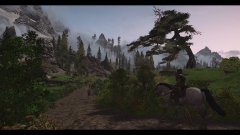ScreenShot3447.jpg