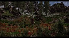 ScreenShot3453.jpg