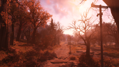 Country Roads