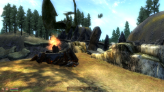 773 Dragon Bridge Baby.PNG