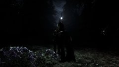 Love to ride through the night