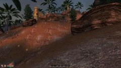 1334 My Elsweyr Valenwood project.PNG