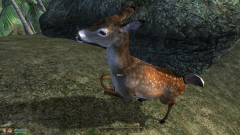 1351 My Dear is back.PNG