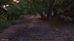 1366 Entering Valenwood.PNG
