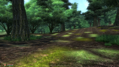 Leaving the Marsh entering the Woods.PNG